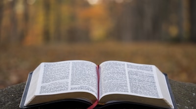 bible page on gray concrete surface