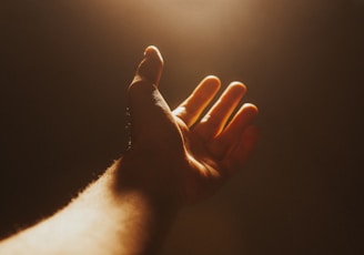 human hand