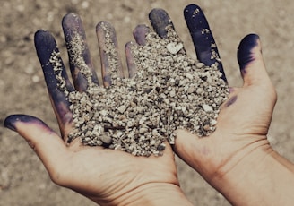 a hand holding a handful of dirt